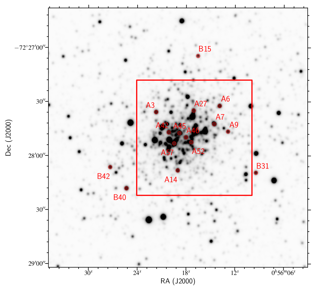 multiplicity-properties-of-the-red-supergiant-population-of-the-small